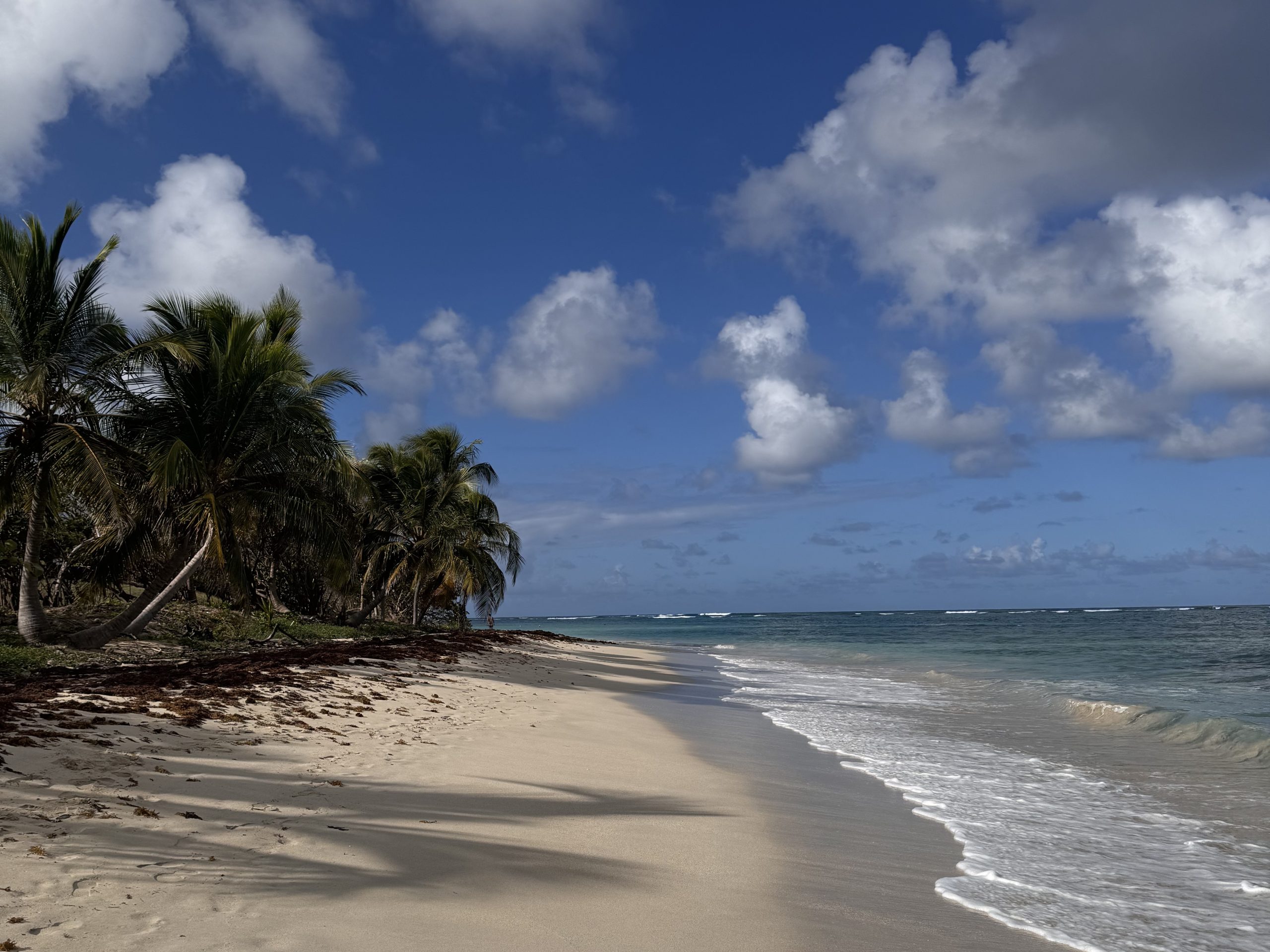 En Puerto Rico esto es raro