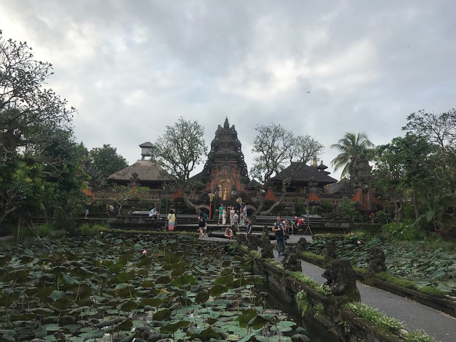 80P1VM/29: Ubud, el centro de Bali