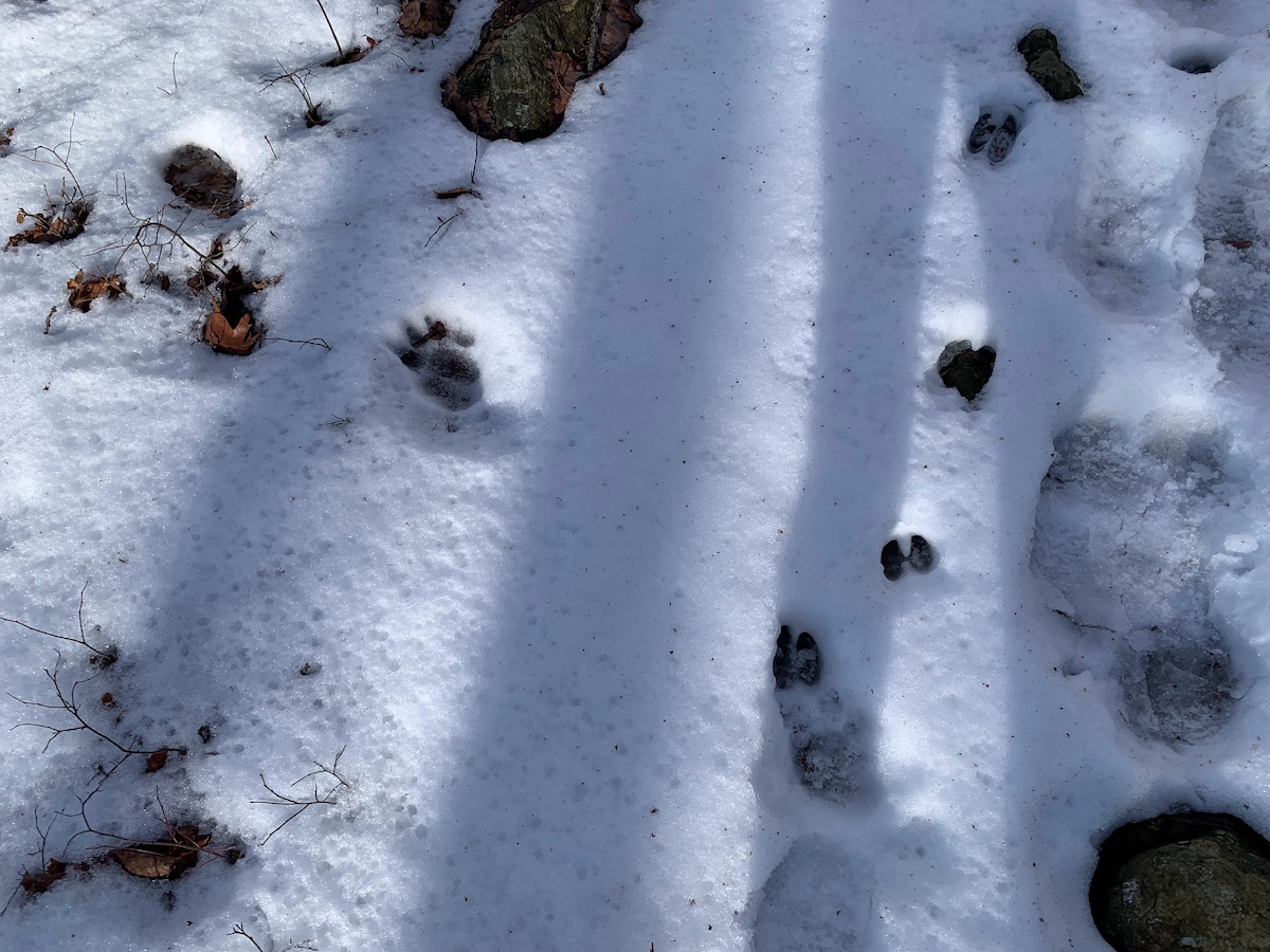 Segunda etapa del Appalachian Trial CT (Connecticut)