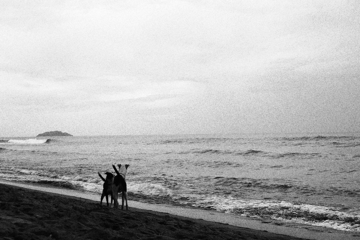 Surfers Paradise, en Rincón, Puerto Rico