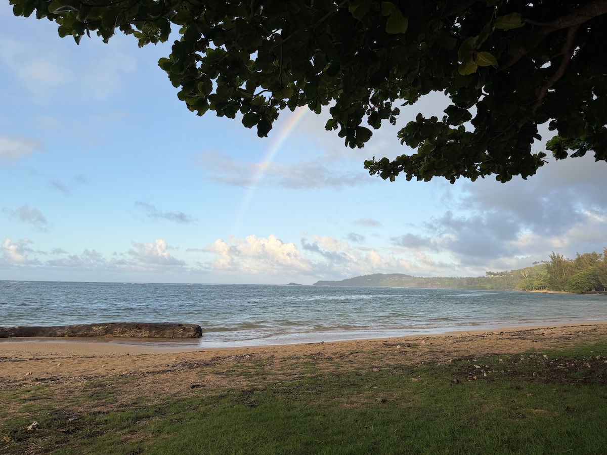 Texto comisionado hawaiano